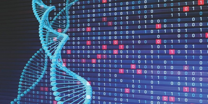 Healthcare Analytics Market - Analysis & Consulting (2019 - 2025)